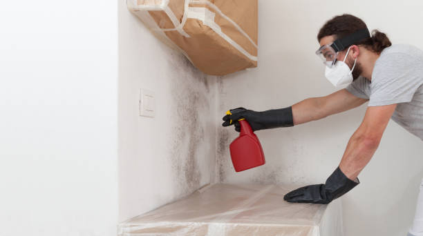 Professional Black Mold Remediation technician working in Lakeside, OR