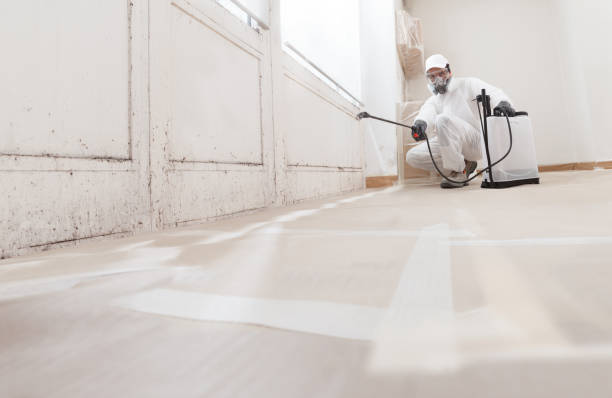 24/7 Emergency Black Mold Remediation experts in Lakeside, OR