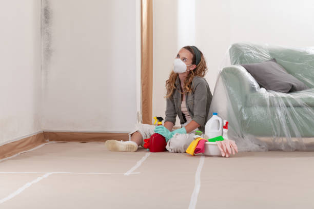Reliable Black Mold Remediation contractor in Lakeside, OR by Car Mold Remediation